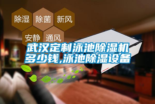 武汉定制泳池粉色视频免费在线观看多少钱,泳池除湿设备