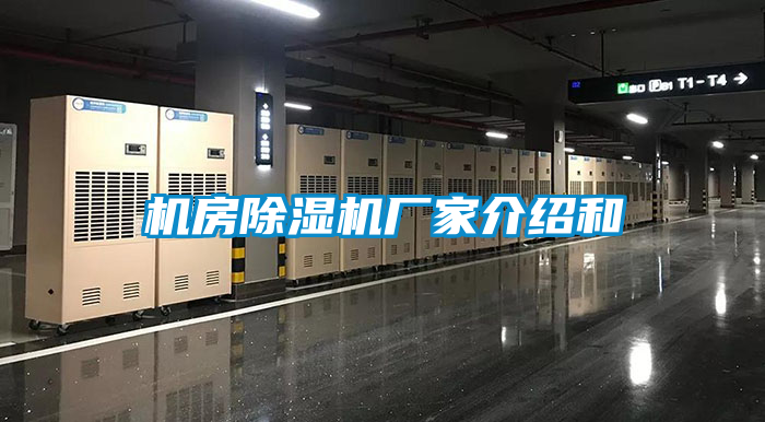 机房粉色视频免费在线观看厂家介绍和
