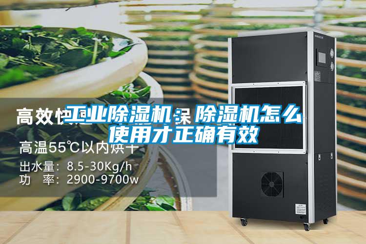 工业粉色视频免费在线观看：粉色视频免费在线观看怎么使用才正确有效