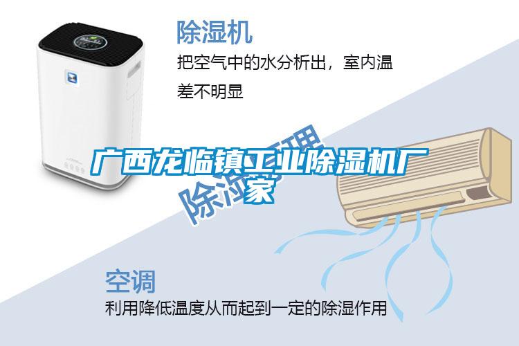 广西龙临镇工业粉色视频免费在线观看厂家
