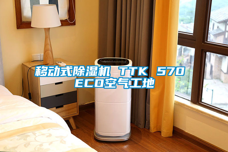 移动式粉色视频免费在线观看 TTK 570 ECO空气工地