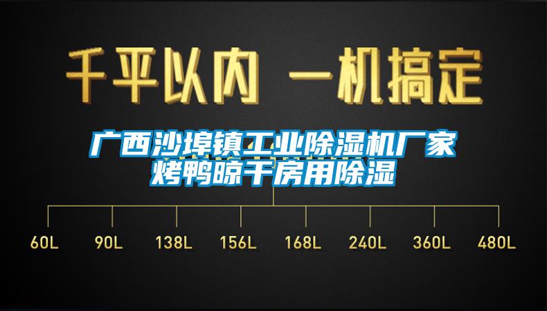 广西沙埠镇工业粉色视频免费在线观看厂家烤鸭晾干房用除湿