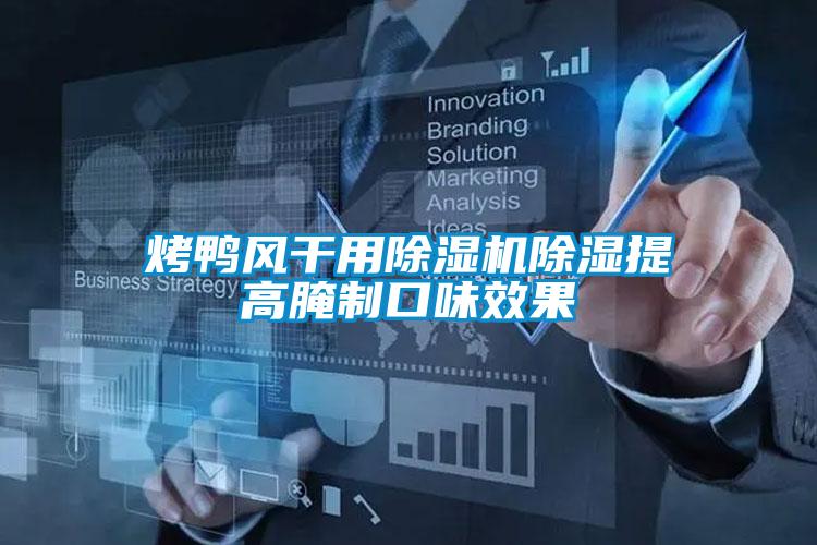 烤鸭风干用粉色视频免费在线观看除湿提高腌制口味效果