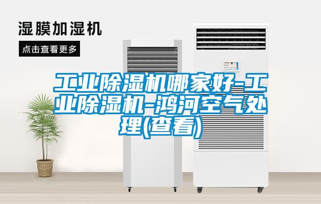 工业粉色视频免费在线观看哪家好-工业粉色视频免费在线观看-鸿河空气处理(查看)