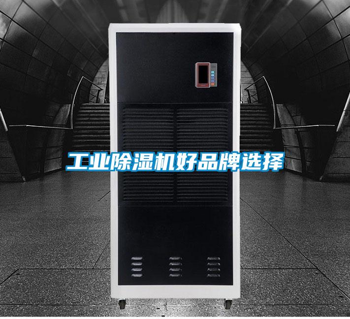 工业粉色视频免费在线观看好品牌选择