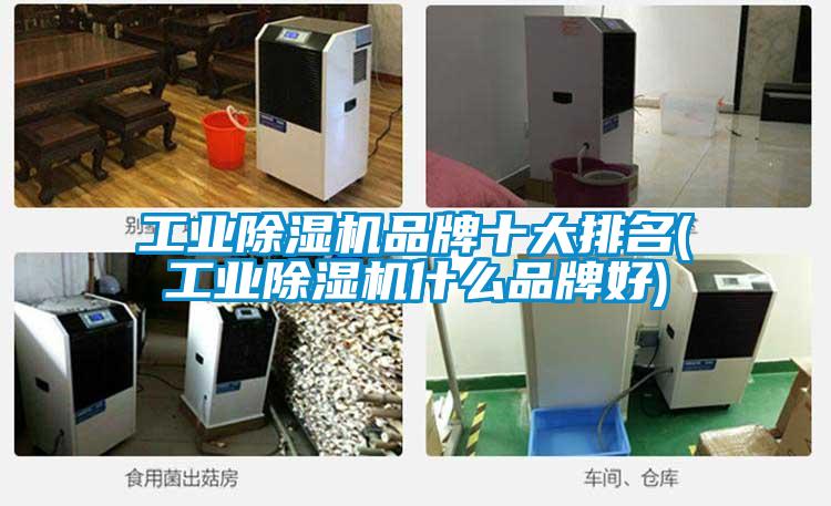 工业粉色视频免费在线观看品牌十大排名(工业粉色视频免费在线观看什么品牌好)