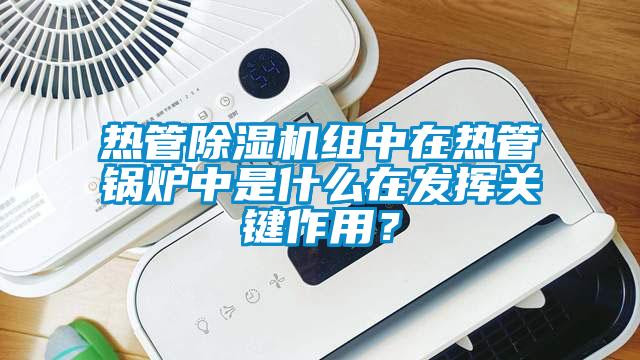 热管粉色视频免费在线观看组中在热管锅炉中是什么在发挥关键作用？
