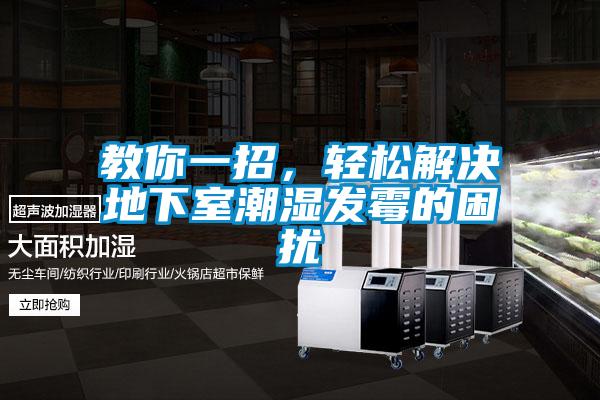 教你一招，轻松解决地下室潮湿发霉的困扰