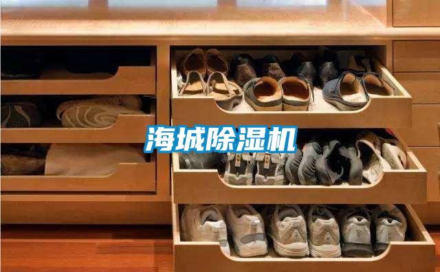 海城粉色视频免费在线观看