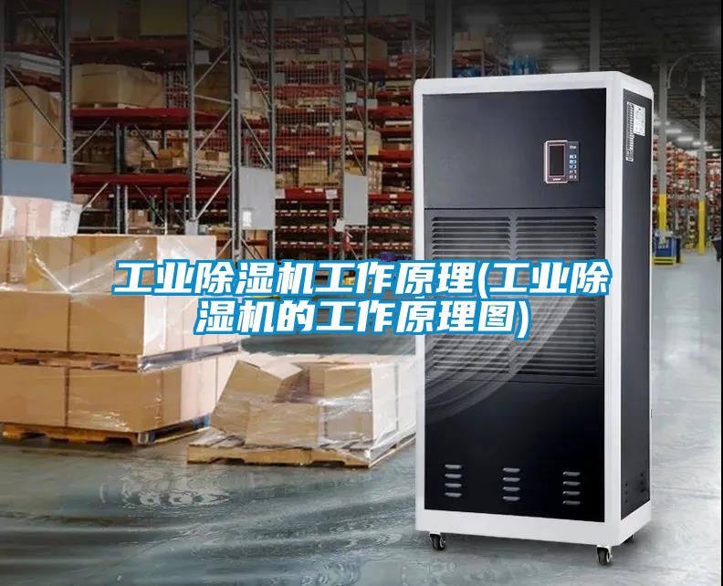工业粉色视频免费在线观看工作原理(工业粉色视频免费在线观看的工作原理图)