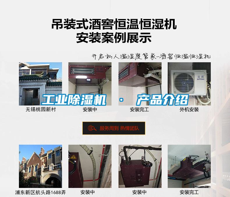 工业粉色视频免费在线观看 · 产品介绍