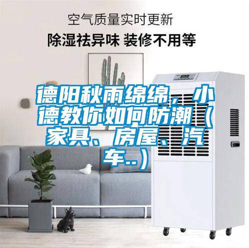 德阳秋雨绵绵，小德教你如何防潮（家具、房屋、汽车..）