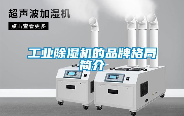 工业粉色视频免费在线观看的品牌格局简介