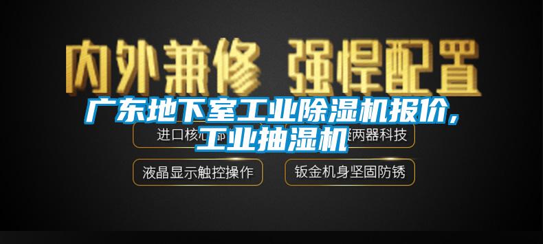广东地下室工业粉色视频免费在线观看报价,工业抽湿机