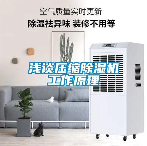 浅谈压缩粉色视频免费在线观看工作原理