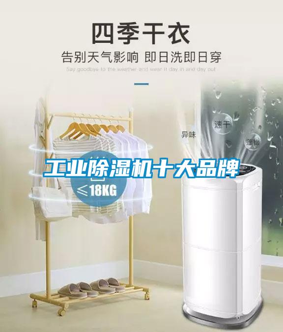 工业粉色视频免费在线观看十大品牌