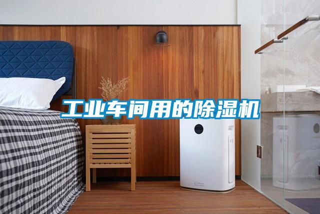 工业车间用的粉色视频免费在线观看