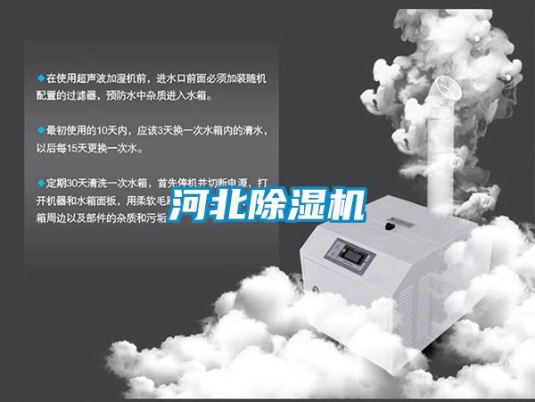 河北粉色视频免费在线观看
