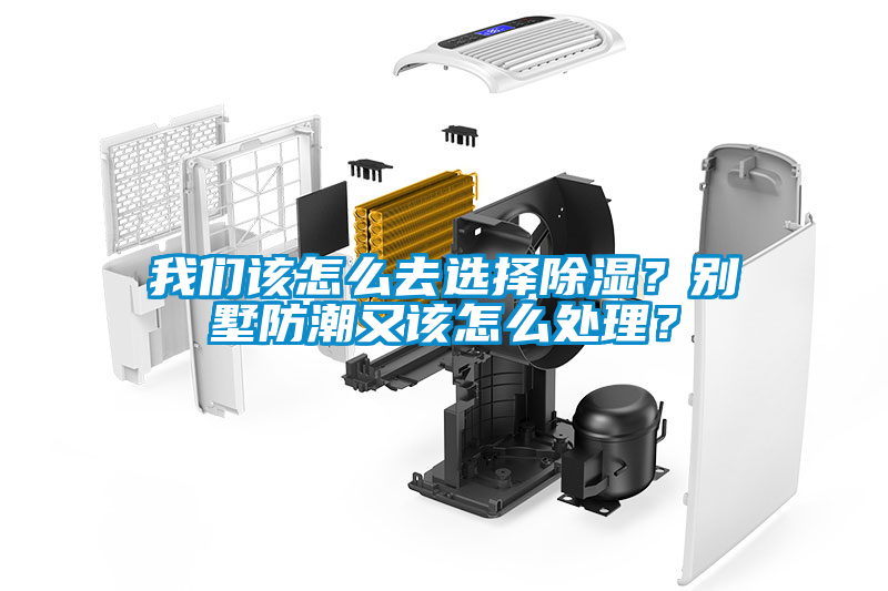 粉色视频下载污该怎么去选择除湿？别墅防潮又该怎么处理？