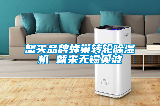 想买品牌蜂巢转轮粉色视频免费在线观看 就来无锡奥波