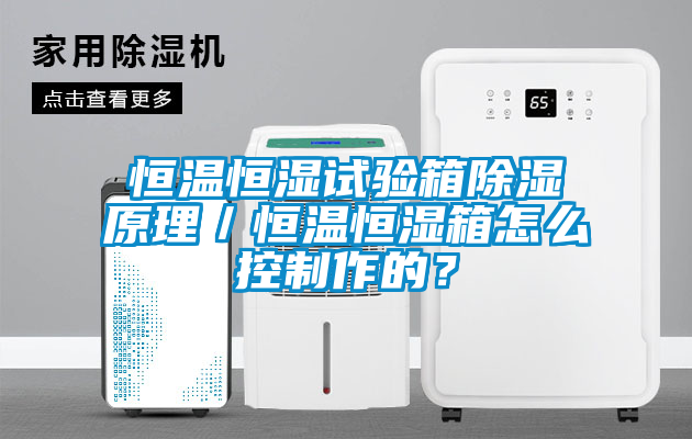 恒温恒湿试验箱除湿原理／恒温恒湿箱怎么控制作的？