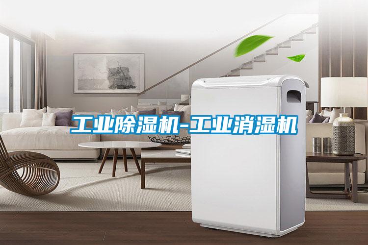 工业粉色视频免费在线观看-工业消湿机