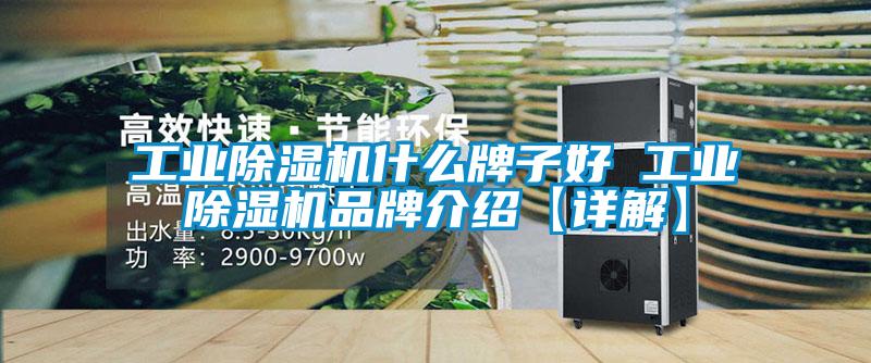 工业粉色视频免费在线观看什么牌子好 工业粉色视频免费在线观看品牌介绍【详解】