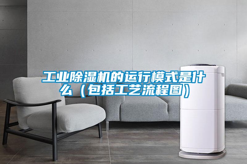 工业粉色视频免费在线观看的运行模式是什么（包括工艺流程图）