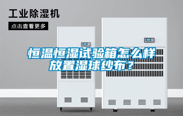 恒温恒湿试验箱怎么样放置湿球纱布？