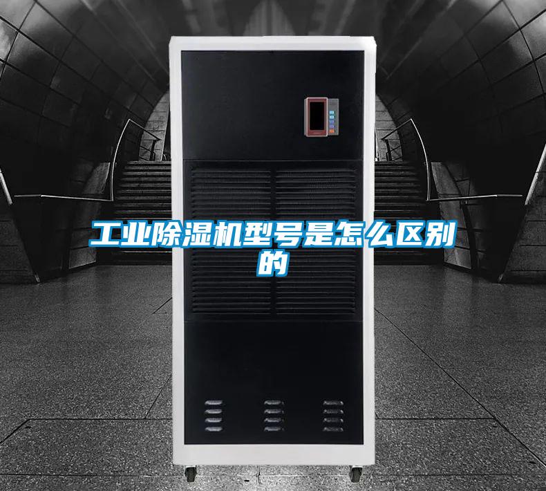工业粉色视频免费在线观看型号是怎么区别的