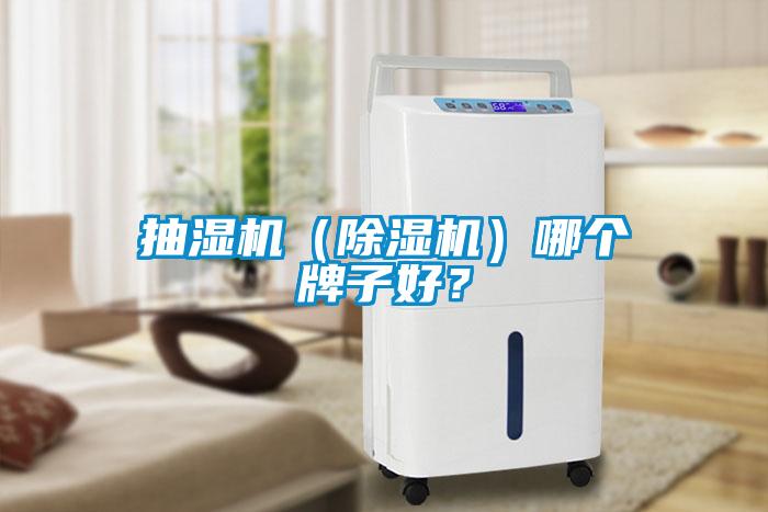 抽湿机（粉色视频免费在线观看）哪个牌子好？