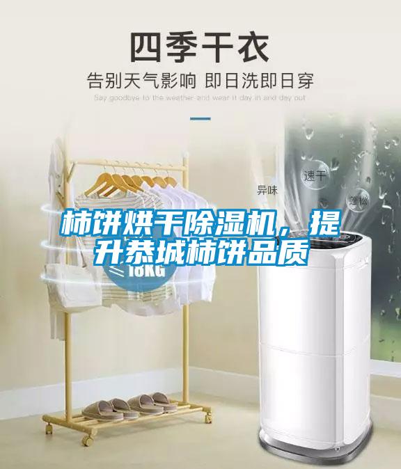 柿饼烘干粉色视频免费在线观看，提升恭城柿饼品质