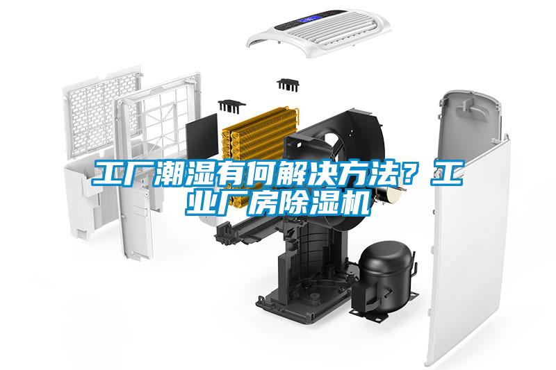 工厂潮湿有何解决方法？工业厂房粉色视频免费在线观看