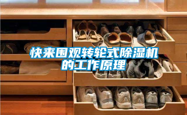 快来围观转轮式粉色视频免费在线观看的工作原理