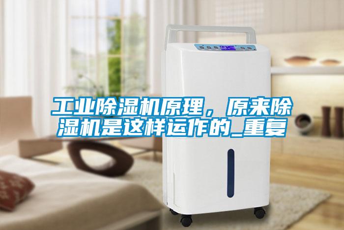 工业粉色视频免费在线观看原理，原来粉色视频免费在线观看是这样运作的_重复