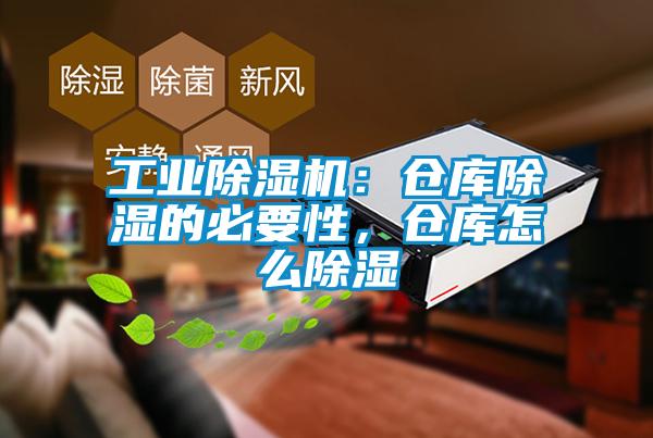 工业粉色视频免费在线观看：仓库除湿的必要性，仓库怎么除湿