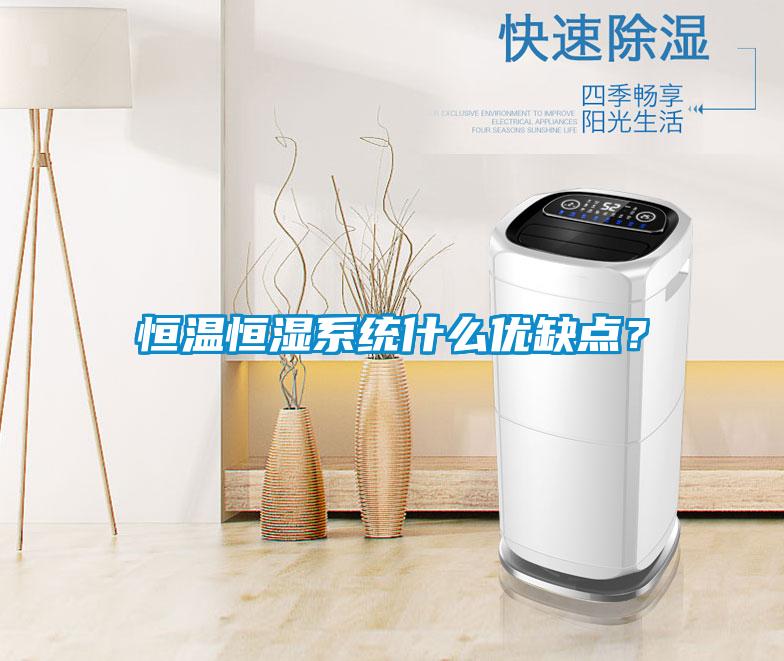 恒温恒湿系统什么优缺点？