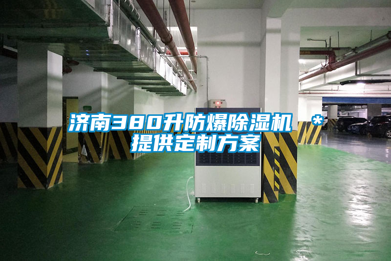济南380升防爆粉色视频免费在线观看 ＊提供定制方案