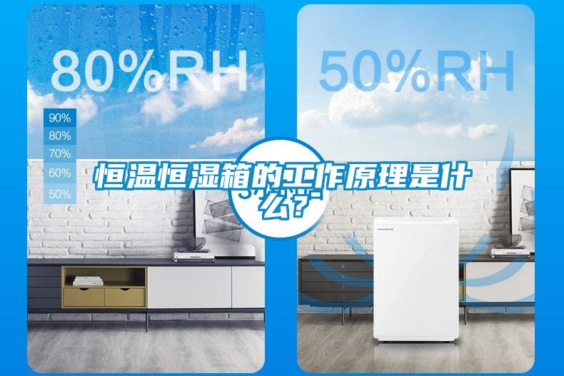 恒温恒湿箱的工作原理是什么？