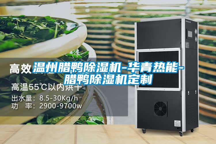 温州腊鸭粉色视频免费在线观看-华青热能-腊鸭粉色视频免费在线观看定制