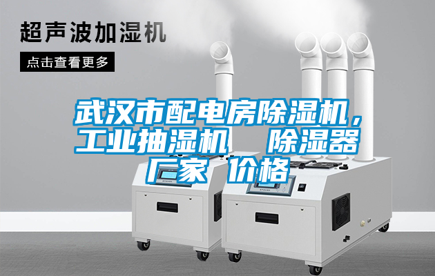 武汉市配电房粉色视频免费在线观看，工业抽湿机  除湿器厂家 价格