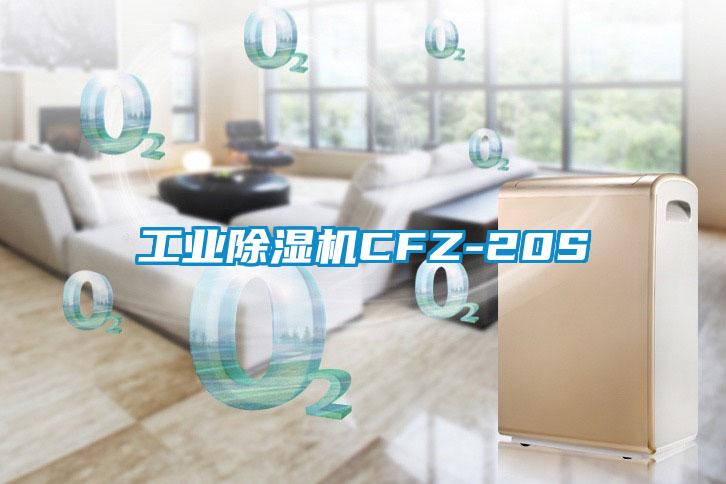 工业粉色视频免费在线观看CFZ-20S