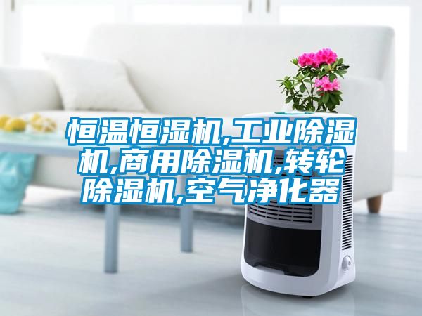 恒温恒湿机,工业粉色视频免费在线观看,商用粉色视频免费在线观看,转轮粉色视频免费在线观看,空气净化器