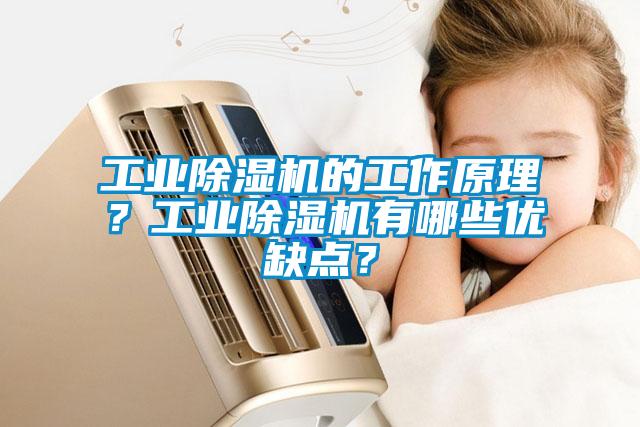 工业粉色视频免费在线观看的工作原理？工业粉色视频免费在线观看有哪些优缺点？