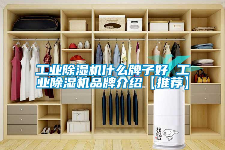 工业粉色视频免费在线观看什么牌子好 工业粉色视频免费在线观看品牌介绍【推荐】