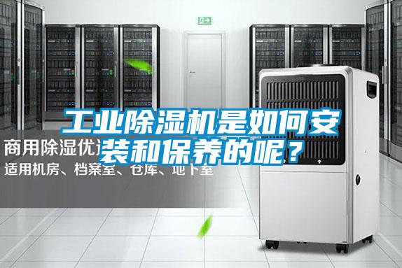 工业粉色视频免费在线观看是如何安装和保养的呢？