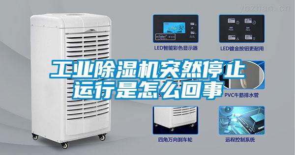 工业粉色视频免费在线观看突然停止运行是怎么回事