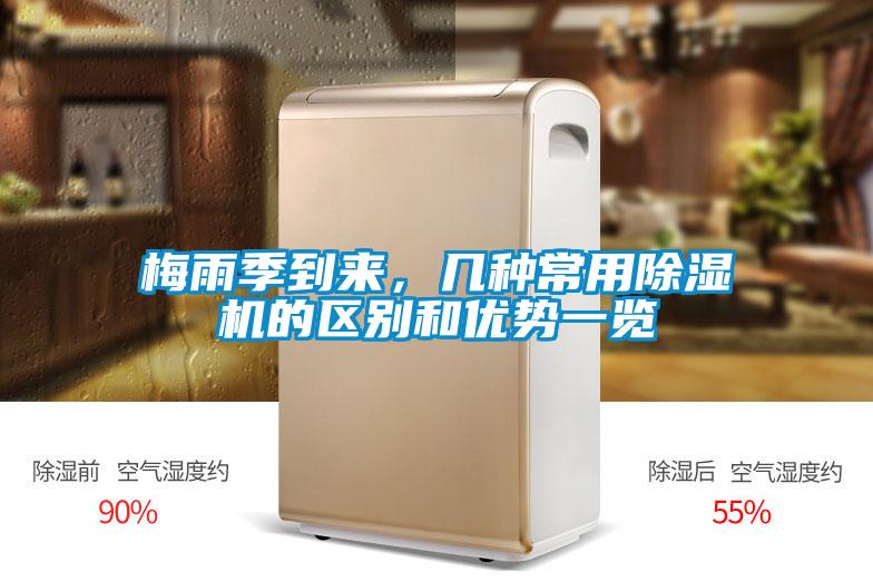 梅雨季到来，几种常用粉色视频免费在线观看的区别和优势一览