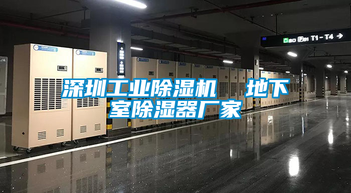 深圳工业粉色视频免费在线观看  地下室除湿器厂家