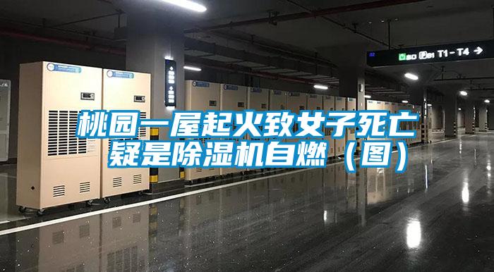 桃园一屋起火致女子死亡 疑是粉色视频免费在线观看自燃（图）